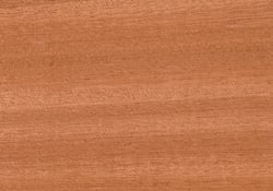 SAPELE