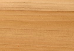 TULIPWOOD