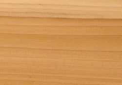 TULIPWOOD