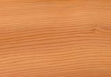 CEDAR.jpg