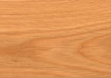 EUROPEAN OAK.jpg