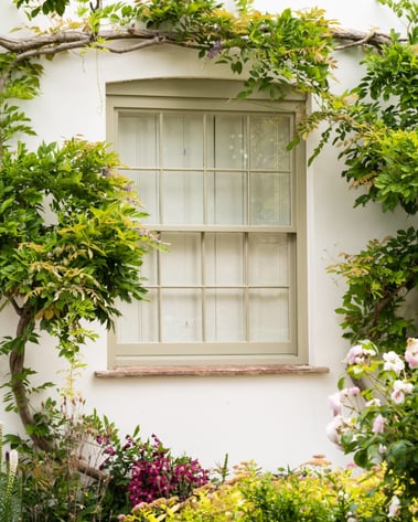 blog image 3